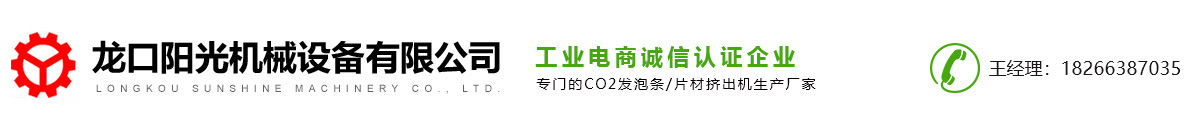 CO2片材挤出机
